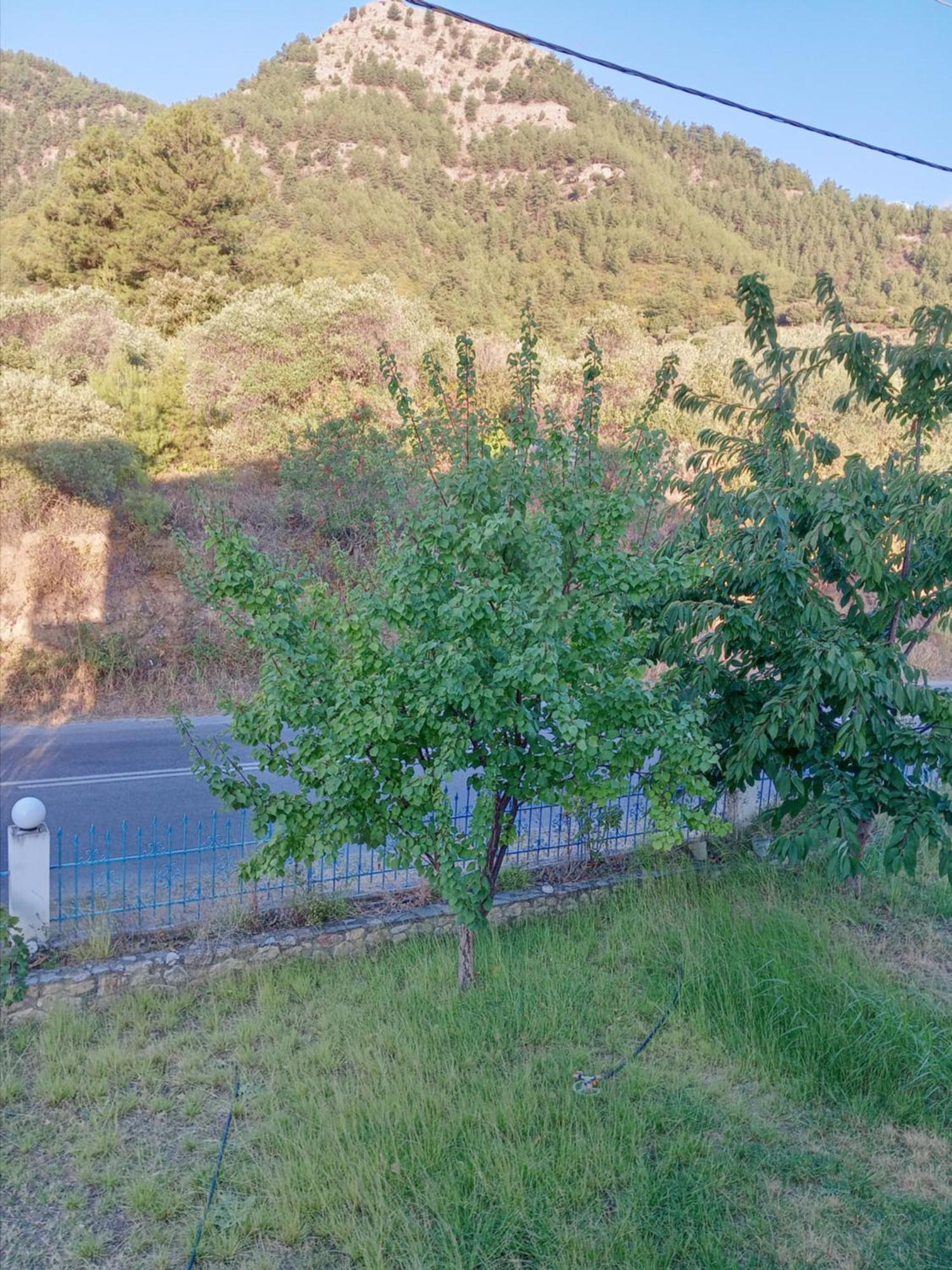 King Studios Kinira Zewnętrze zdjęcie